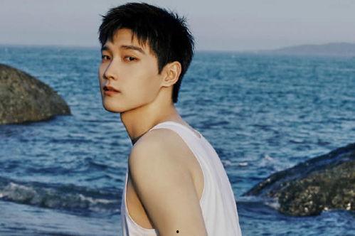 郑州有那些明星,郑州明星风采掠影